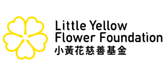 Little Yellow Flower Foundation